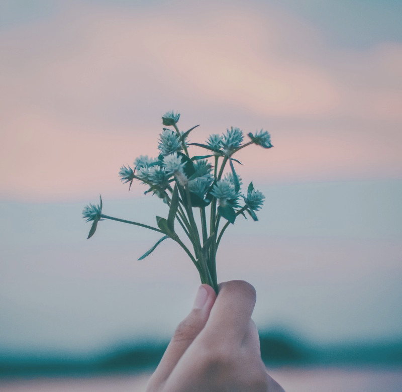 �w�b�_�[�摜