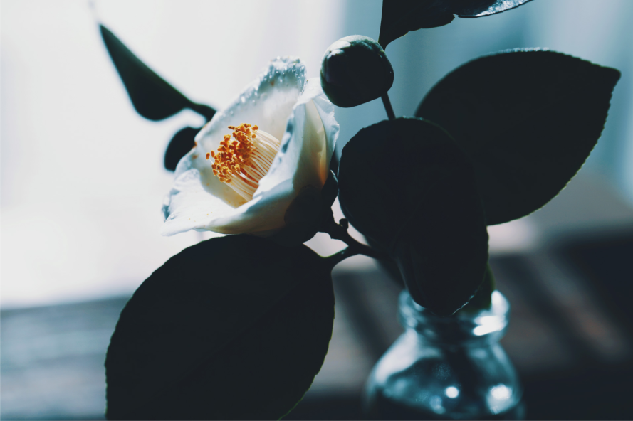 �w�b�_�[�摜