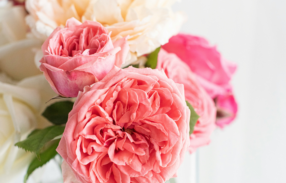 �w�b�_�[�摜