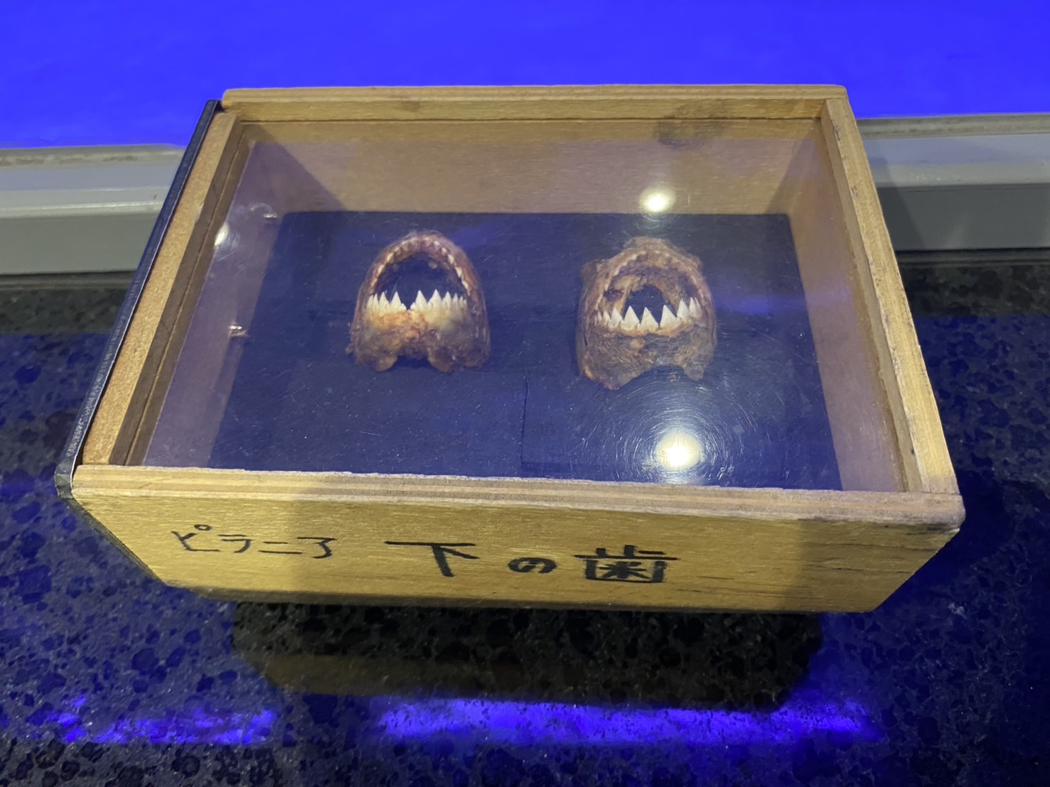 ���r�n��