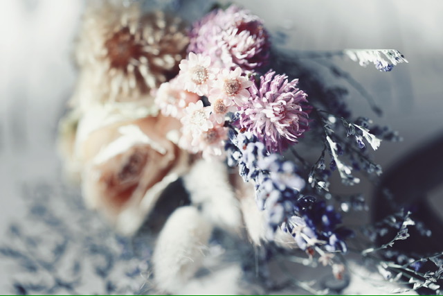 �w�b�_�[�摜