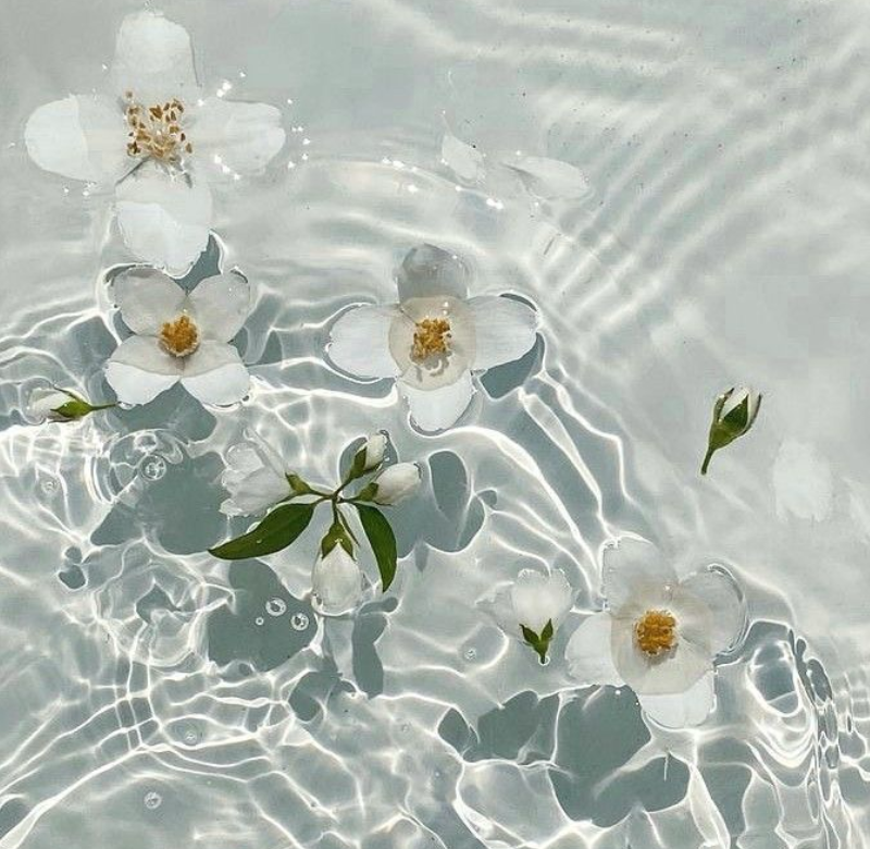 �w�b�_�[�摜